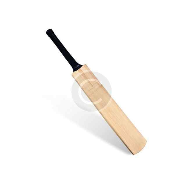Cricket bat